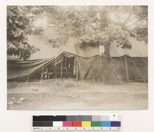 Camp! [Large tent in refugee camp. Unidentified location.]