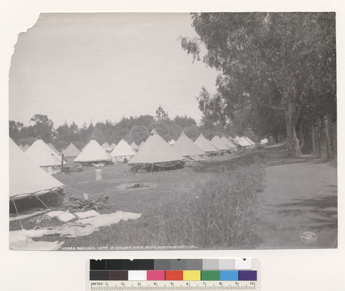 Refugee camp in Golden Gate Park, San Francisco, Cal. [No. 09362.]