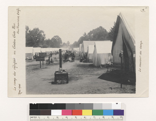 Le camp des refugies au Golden Gate Parc, San Francisco, Calif. Mai 1906. Le causeur du camp [referring to parrot]. [Camp 7, Golden Gate Park.]