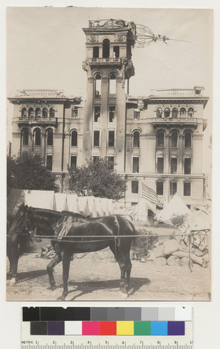 [Hall of Justice from Portsmouth Square.]