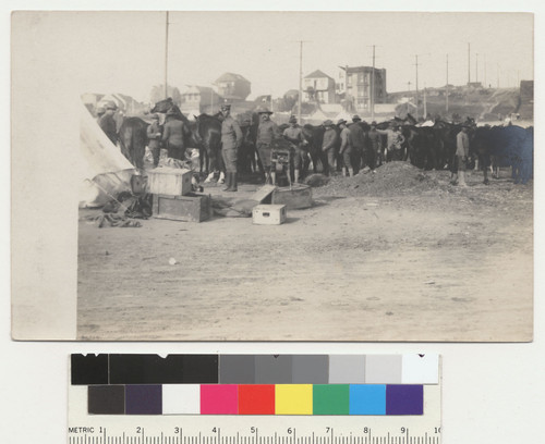 [Soldiers and horses in camp. Unidentified location. Postcard.]