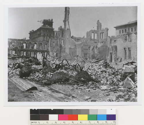 [Charred remains of horses. Merchant St.? Hall of Justice in distance, left.]