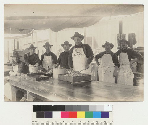 Camp cooks (Army). S.F., 1906