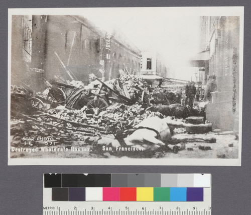Destroyed Wholesale Houses. San Francisco. [Horses killed by falling rubble. Merchant St.]