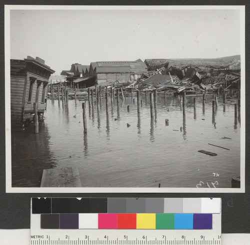 [Ruined piers. Butchertown?]