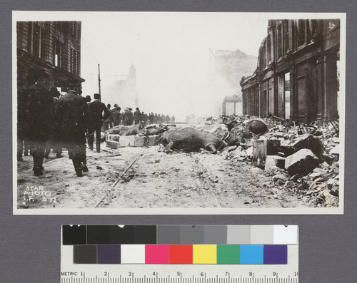 [Dead cattle. Mission St. near First St.]