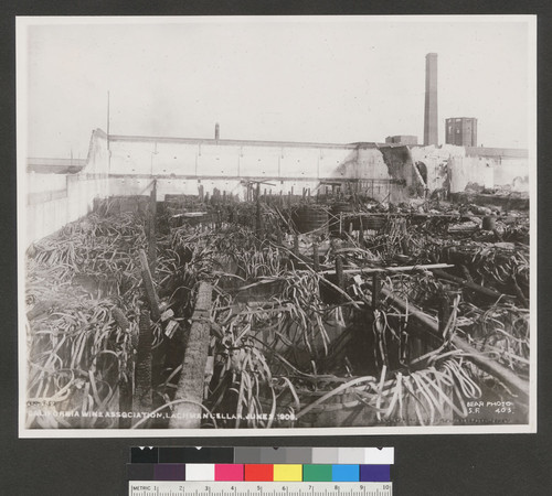 California Wine Association, Lachman Cellar, June 2, 1906