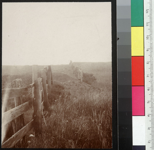 Line fence carried over 8 ft. [Fence offset by earthquake. Unidentified location.]