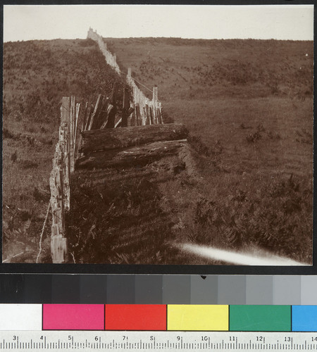 Jog of 8 ft. on Call Ranch. [Fence offset by earthquake. Unidentified location.]