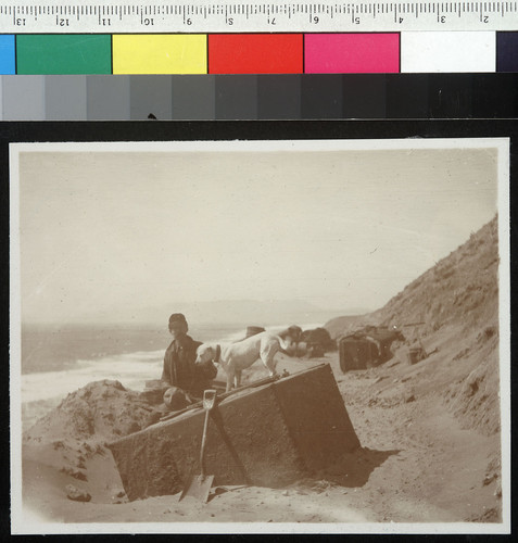 All that is left of a mile of Right of way. Tracks and ties all gone. [Ocean Shore Railway. Unidentified location.]