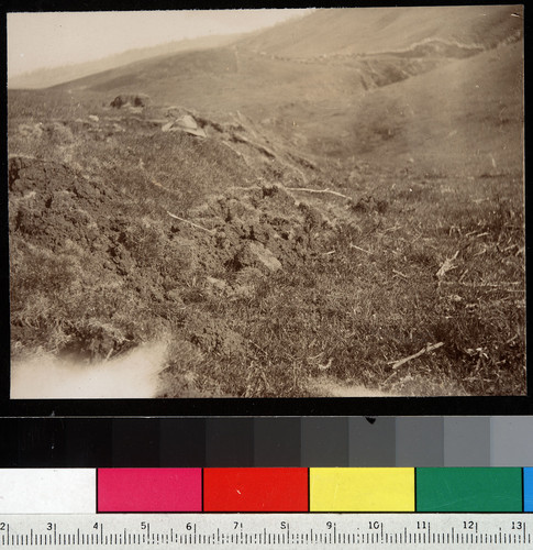 Fissure on Tamales Bay [sic]. [Tomales Bay, Marin County.]