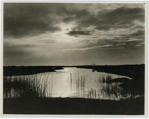 Scene at the lake of Oceano