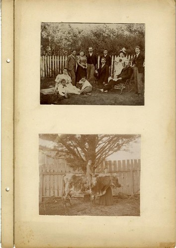 Sinsheimer Family album (2 of 2), undated
