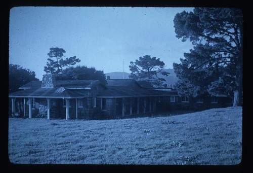 Pebble Beach, Live Oak Meadow