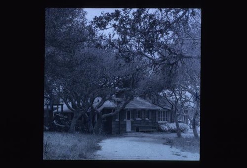 Pebble Beach, Live Oak Meadow