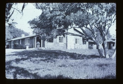 Pebble Beach, Live Oak Meadow