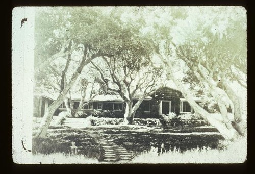 Pebble Beach, Live Oak Meadow