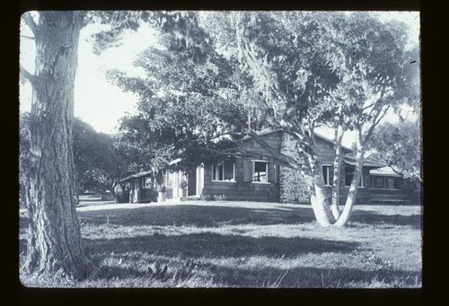 Pebble Beach, Live Oak Meadow