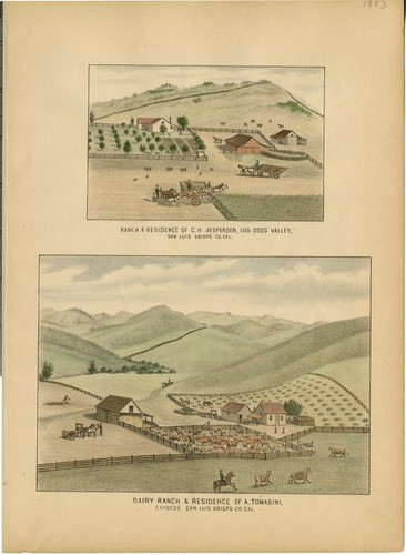 Jespersen, C. H., Ranch and Residence, Los Osos Valley, San Luis Obispo County;Tomasini, A., Dairy Ranch and Residence, Cayucos[On Same Plate]