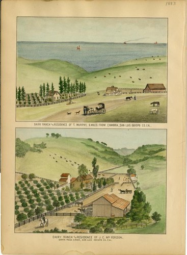 Murphy, T. J., Dairy Ranch and Residence, 6 miles from CambriaMcFerson, J. C., Dairy Ranch and Residence, Santa Rosa Creek, San Luis Obispo County[On Same Plate]