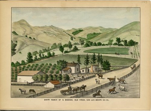 Badasie, G., Dairy Ranch, Old Creek, San Luis Obispo County