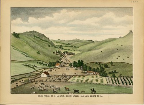 Muscio, A., Dairy Ranch, Green Valley, San Luis Obispo County