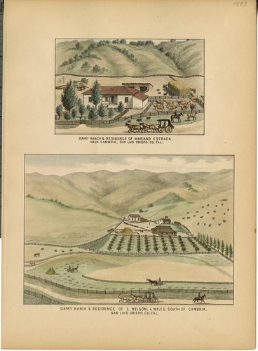 Estrada, Mariano, Dairy Ranch and Residence, near Cambria; Nelson, L., Dairy Ranch and Residence of [On Same Plate]