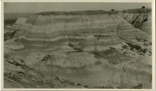 Adamana and Painted Desert, Arizona