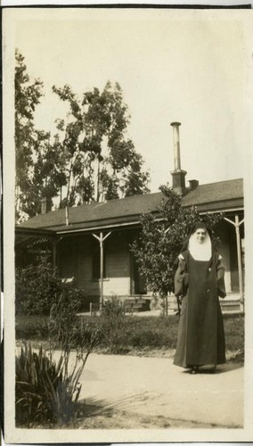 Academy of the Immaculate Heart of Mary, convent and school, Broad and Palm Streets