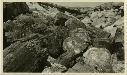 Adamana and Painted Desert, Arizona