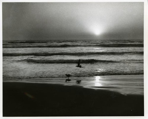 San Luis Obispo coast