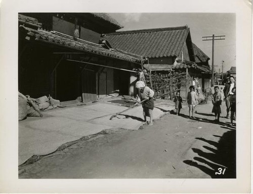 Curing rice in sunlight