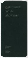 California wild flowers: 12 reproductions in natural colors from water-color drawings