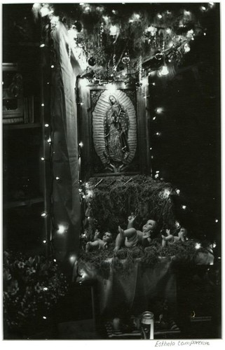 [An altar for the Virgin of Guadalupe]