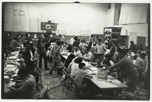 Los Angeles Letter-Writing Campaign