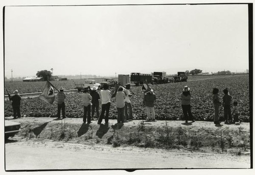 Picketers at strawberry farm