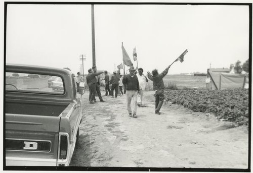 Picketers at strawberry farm