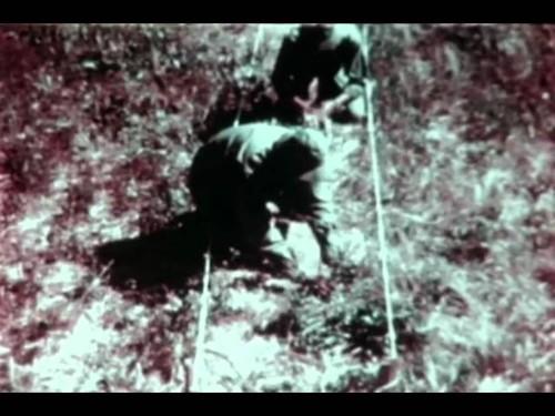 F-0642 Camouflage: A Cartoon