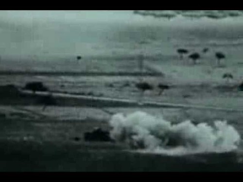 F-919 Battle for Tunisia World War Two Video