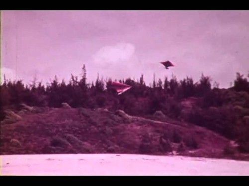 F-0838 Free Flight Systems Hang Gliding