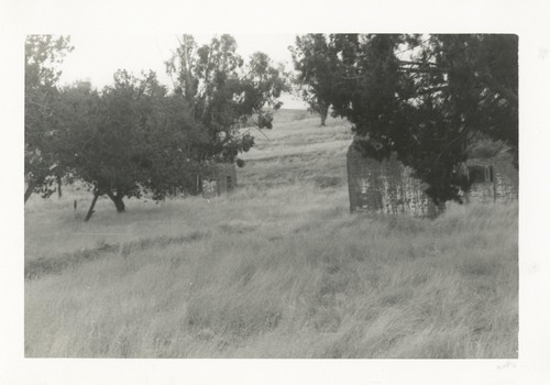 Gillis Adobe 4