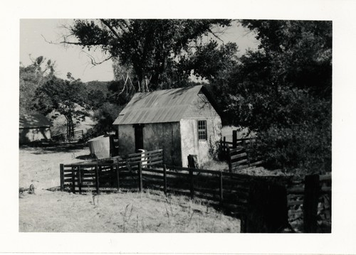 Bullock Adobe