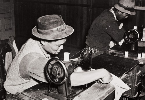 Mas Honda, a Japanese employee of the Burpee Seed Company : Lompoc : 1939 ; he is seen here on the left, sewing cages to isolate the seed specimens