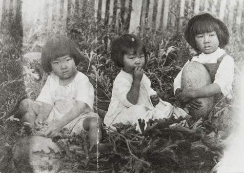 James Ezaki, Ruth Soko Ezaki and William Ezaki aged between 2 and 4 years, sitting in a watermelon patch, Carpinteria : 1909