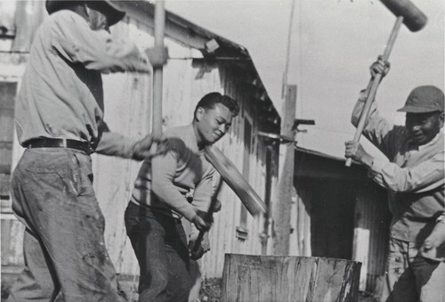 Mochi Tsuki : pounding of the rice cake for New Year at Harry Miyake's House, Guadalupe : December 1948