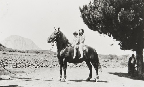 Nellie Nagano and Doris Aiso at Nagano Farm. Morro Bay : about 1930. Mitsugi Aiso by tree. Morro Rock in background