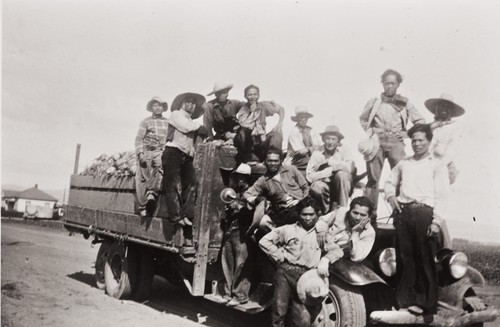 Guadalupe Produce Farm Workers : 1936 ; Tony Lapiz and sugar beet cutting crew with a truck load of sugar beets