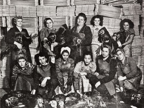 Packing house workers with Christmas bonus turkeys