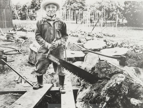 Pete Jimenez sawing wood