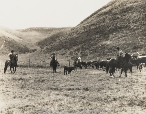 Round up, Santa Barbara County